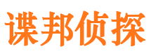 额济纳旗市调查公司